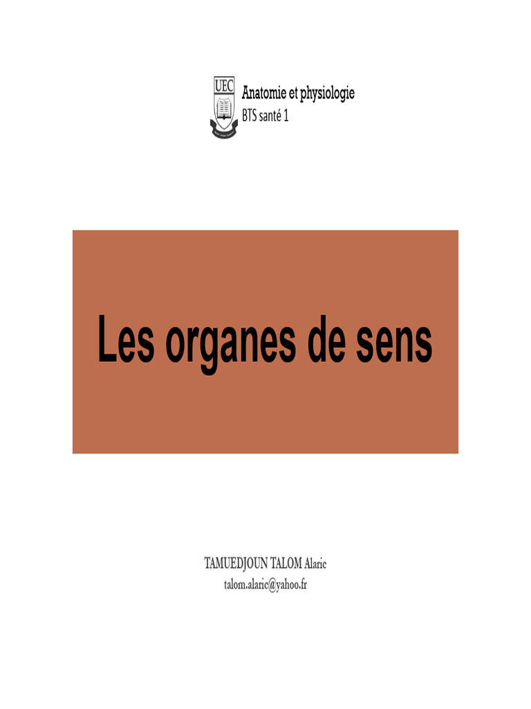Anatomie des organes de sens humains | PDF | Goût | Œil
