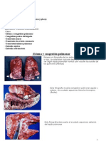 LABPATOLOGIA3 Er Parcial IPLAB4 Y6