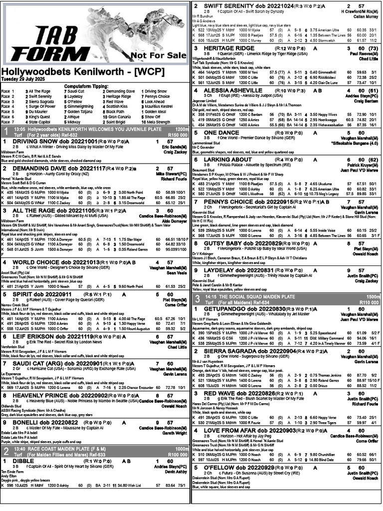 Tabform Online Race Insights | PDF