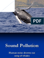 Sound Pollution