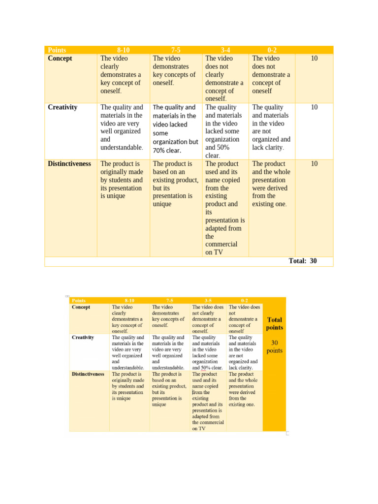 Video Evaluation Criteria and Scoring | PDF