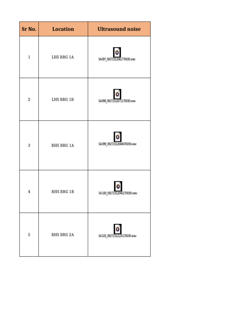 Ultrasound Report DRI-6 | PDF