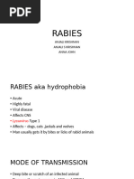 Rabies-Category & Treatment | PDF