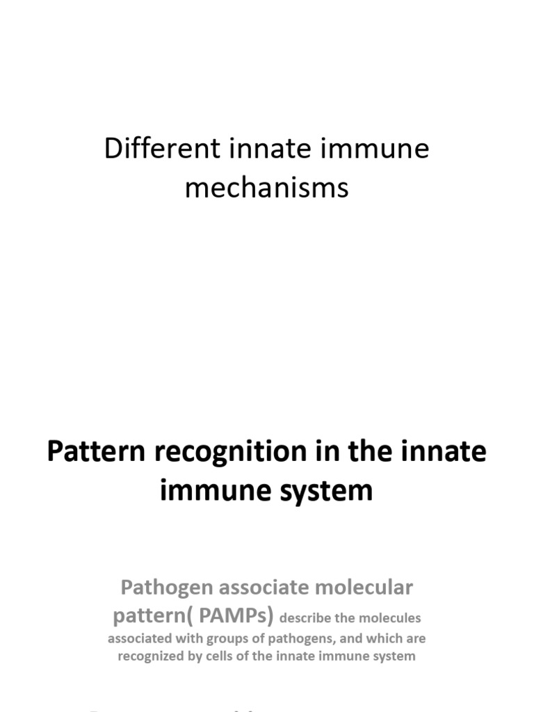 Innate Immune System Mechanisms Explained | PDF | Natural Killer Cell ...