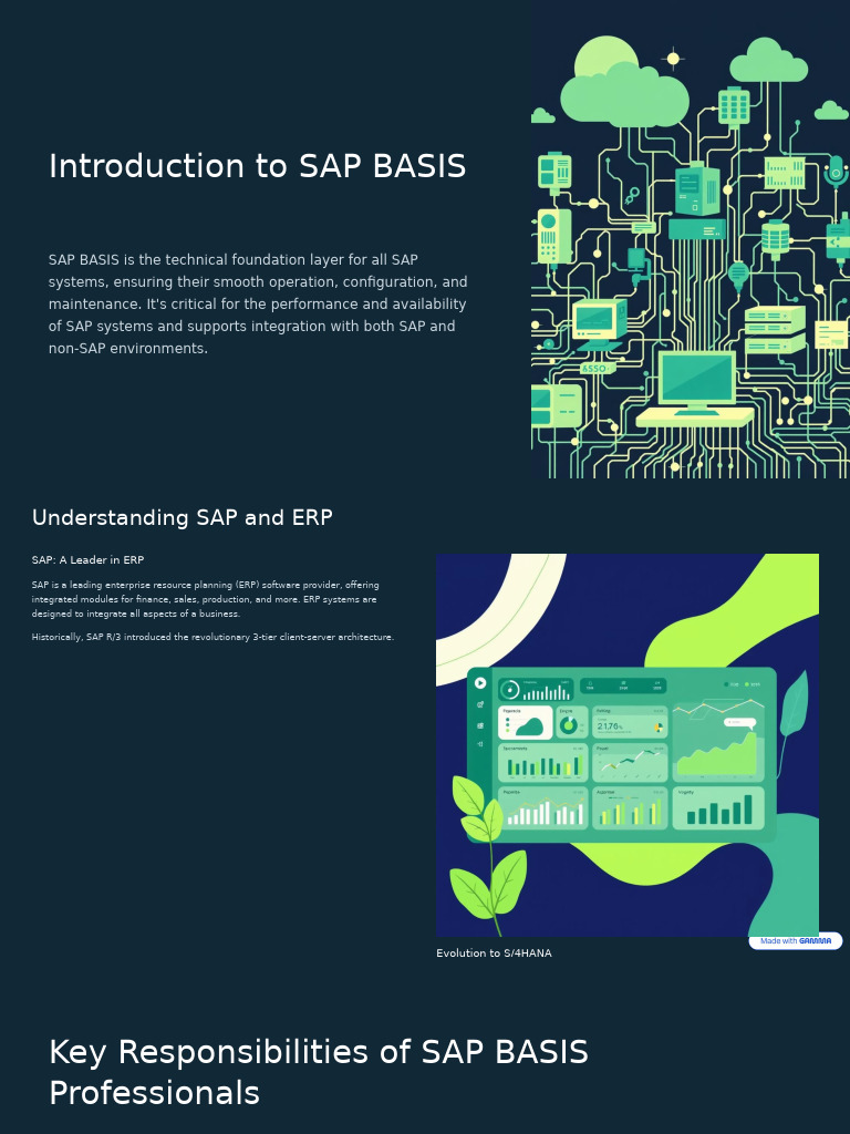 Overview of SAP BASIS Functions | PDF | Enterprise Resource Planning ...