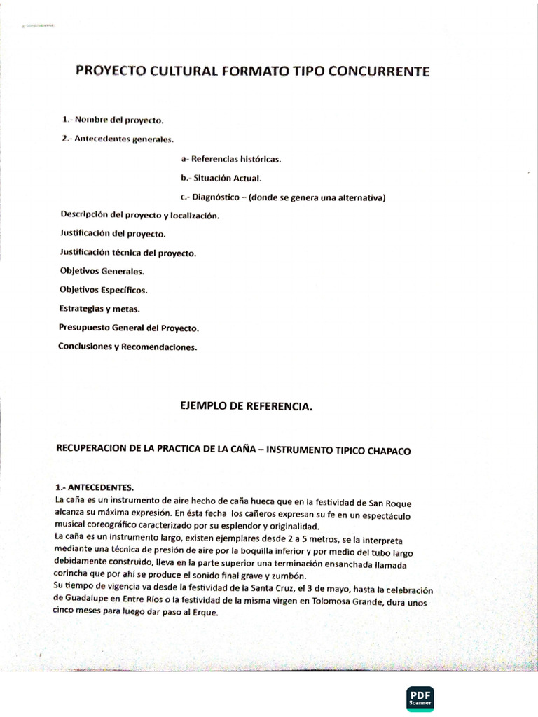 ACE Scanner_2025_06_20 | PDF