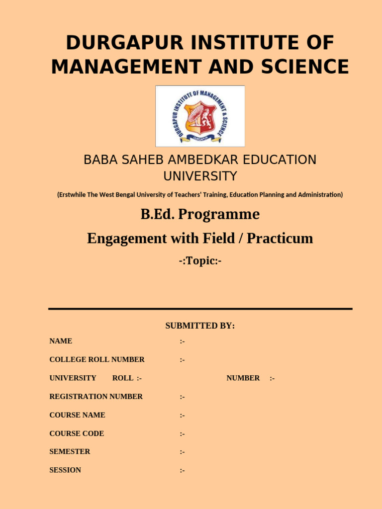 B.Ed Practicum Submission Template | PDF
