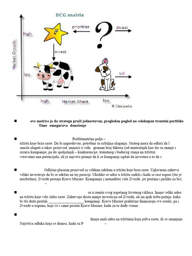 BCG Matrica | PDF