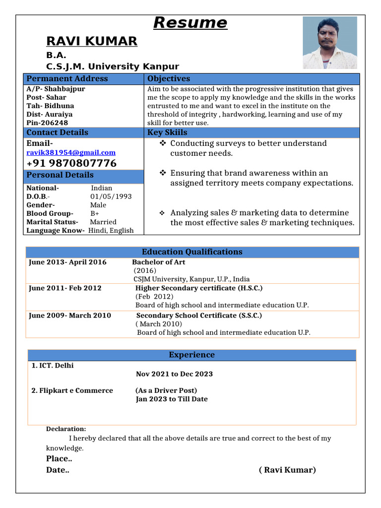 Ravi Kumar Resume: Skills & Experience | PDF