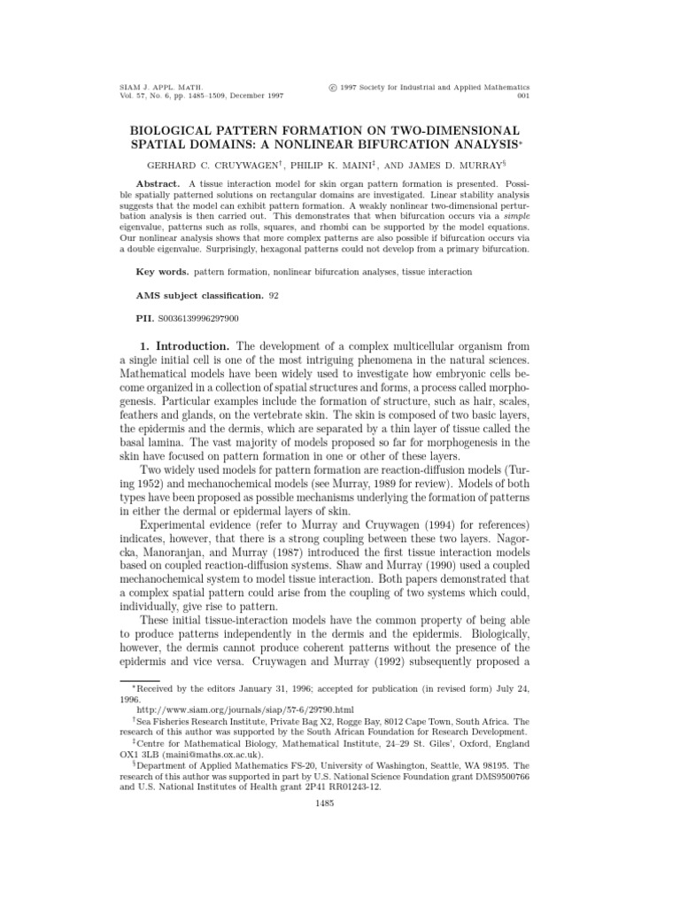 Biological Pattern Formation On Two-Dimensional Spatial Domains: A ...