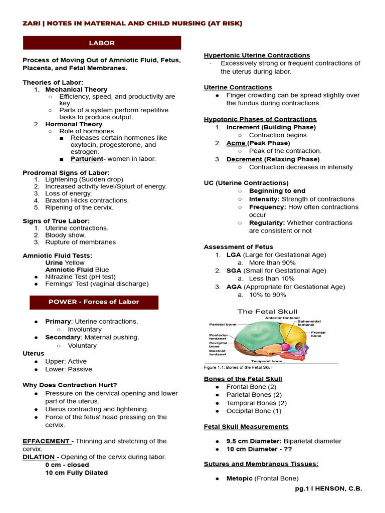 Understanding Labor and Delivery | PDF | Childbirth | Uterus