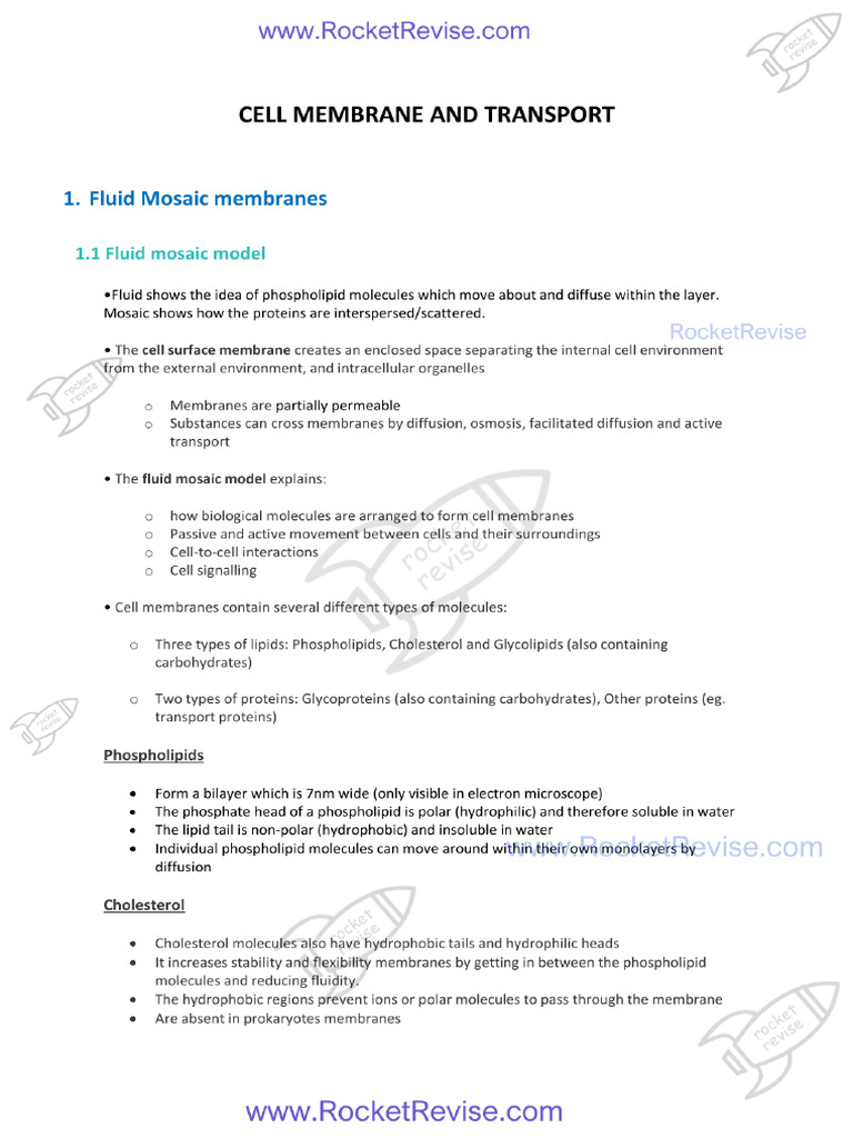 Cell Membrane and Transport | PDF