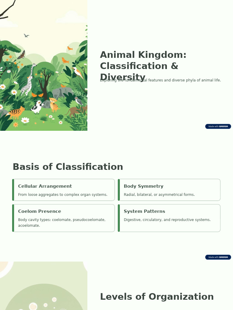 Animal Kingdom Classification Overview | PDF | Zoology | Anatomy