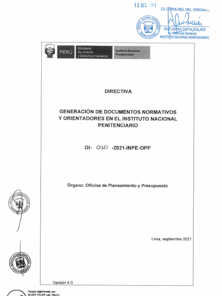 Directiva 010 2021 Inpe Opp PDF | PDF