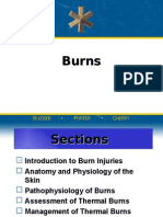 Burns