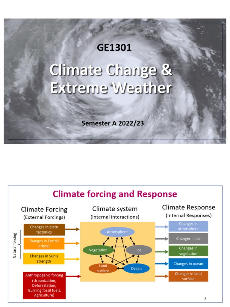 Global Warming Project Methodology | PDF | Intergovernmental Panel On ...