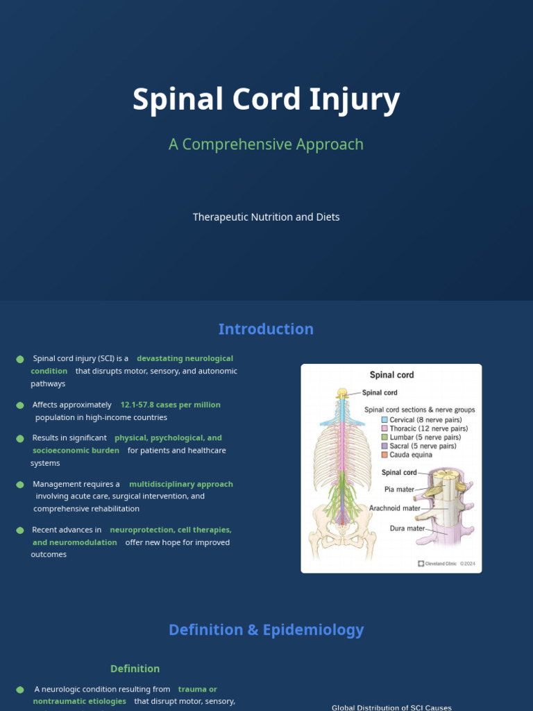 Spinal Cord Injury: A Comprehensive Approach | PDF | Spinal Cord Injury ...