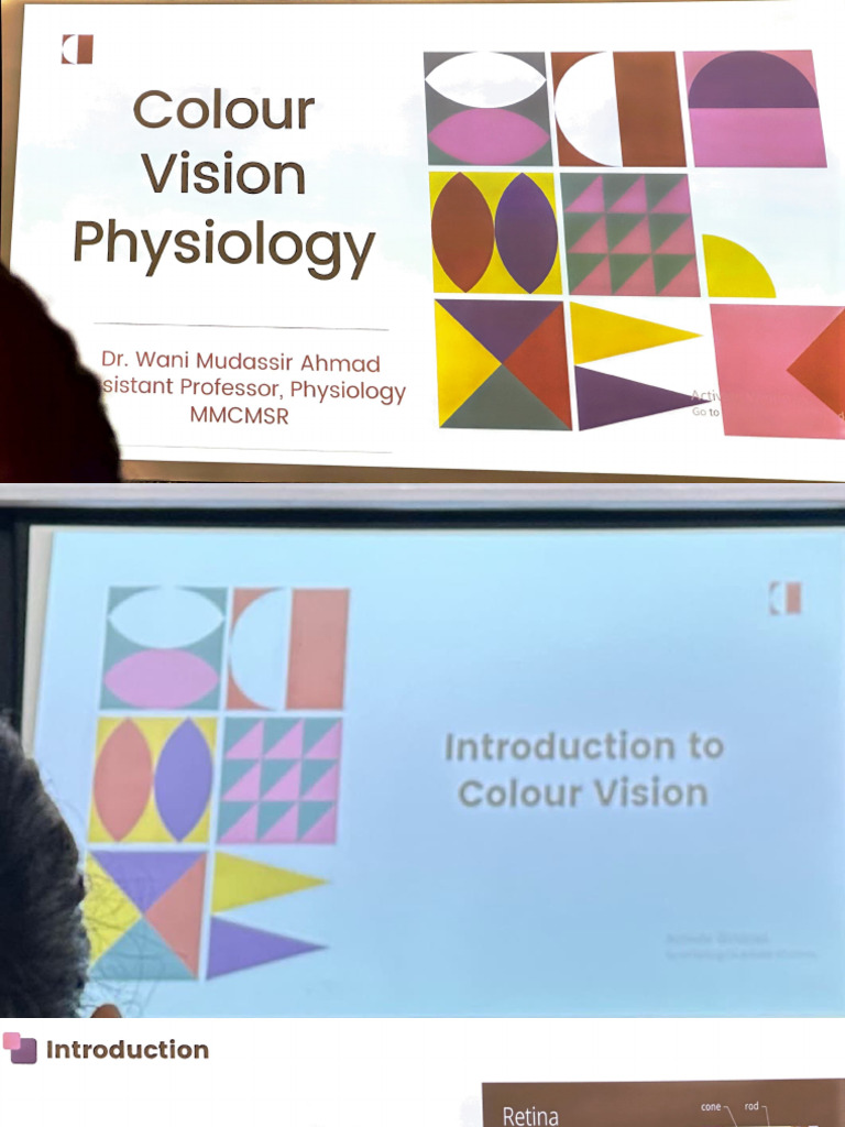 Colour Vision | PDF