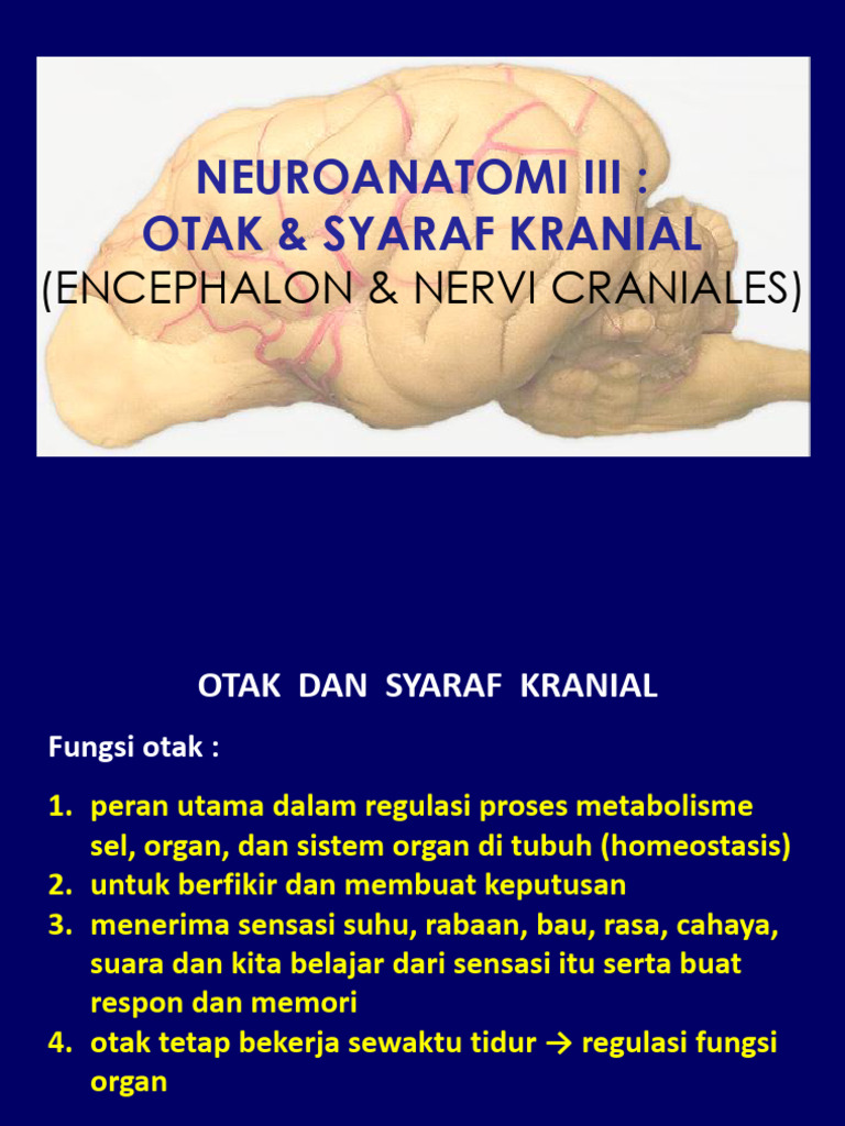 struktur-dan-fungsi-syaraf-kranial-pdf