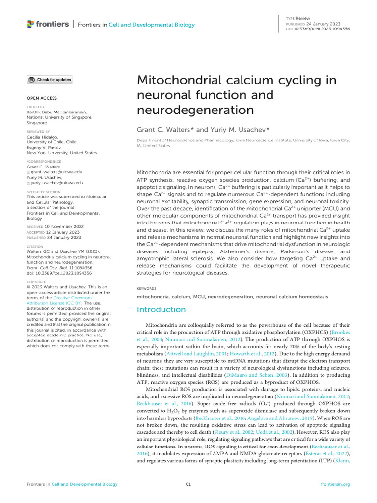 Fcell 11 1094356 | PDF | Mitochondrion | Calcium In Biology