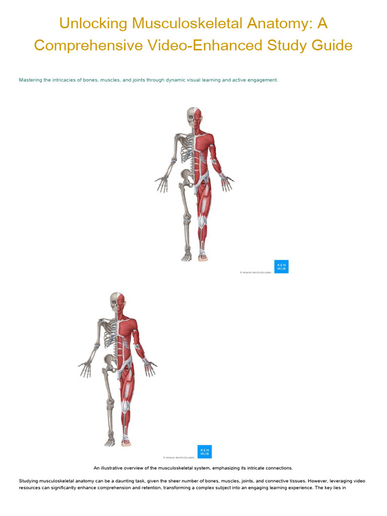 Video Guide to Musculoskeletal Anatomy | PDF | Learning | Anatomy