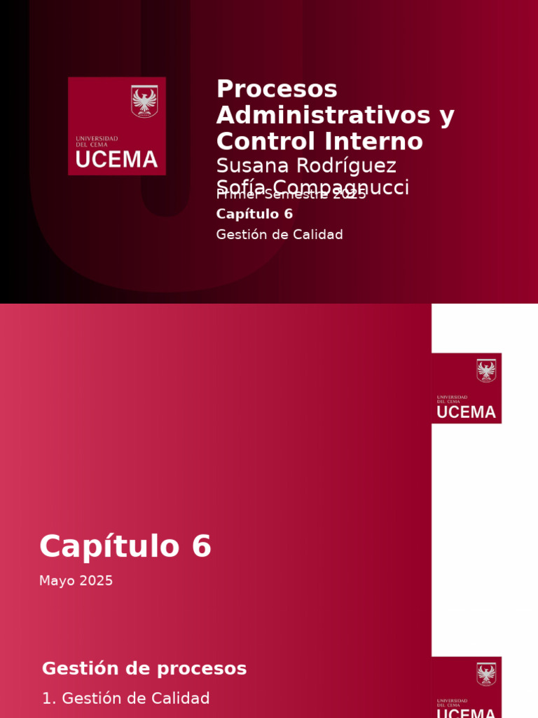 Gestión de Calidad y Mejora Continua | PDF | Calidad (comercial ...