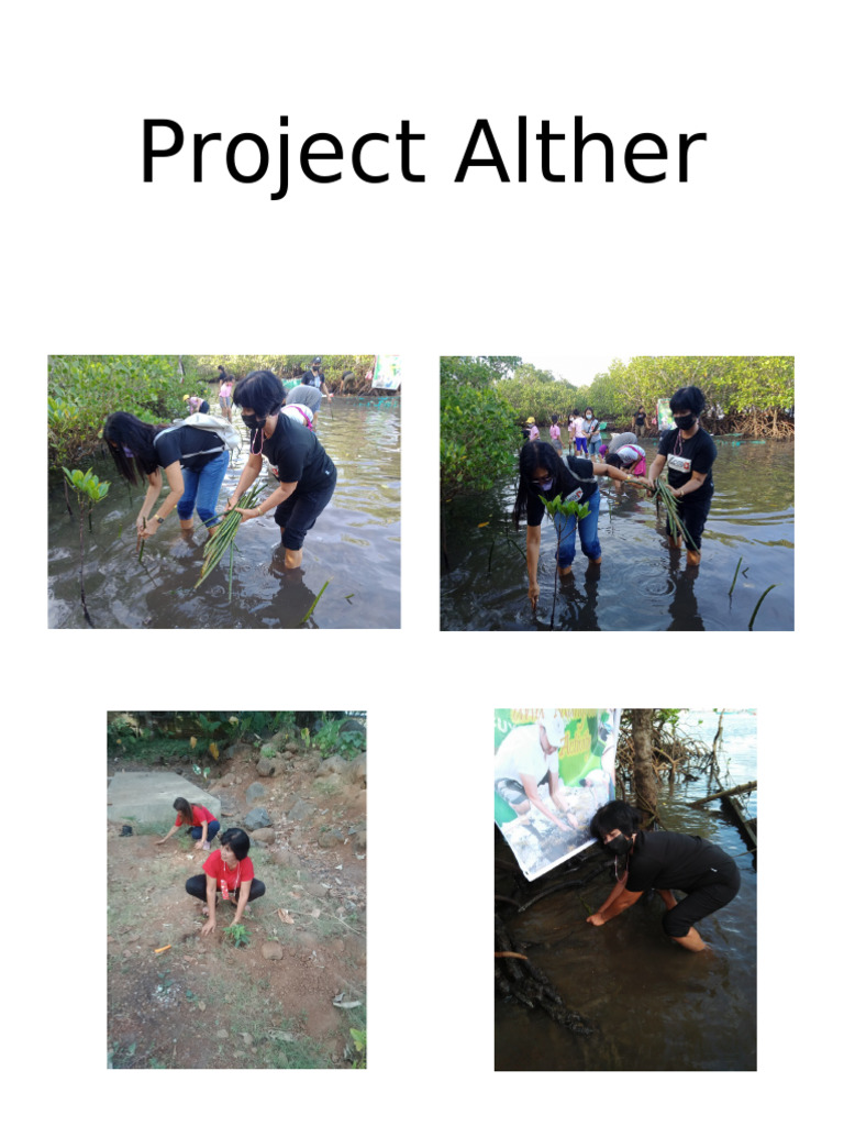 Project Alther | PDF