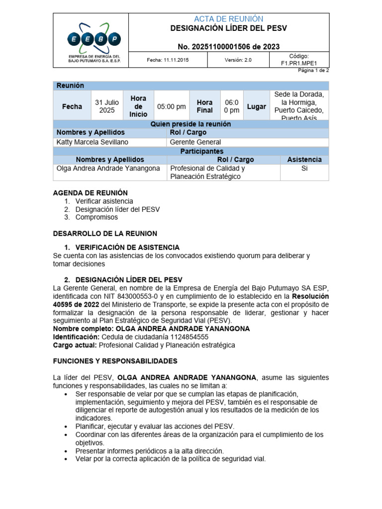 Acta Designacion Lider PESV | PDF | Planificación