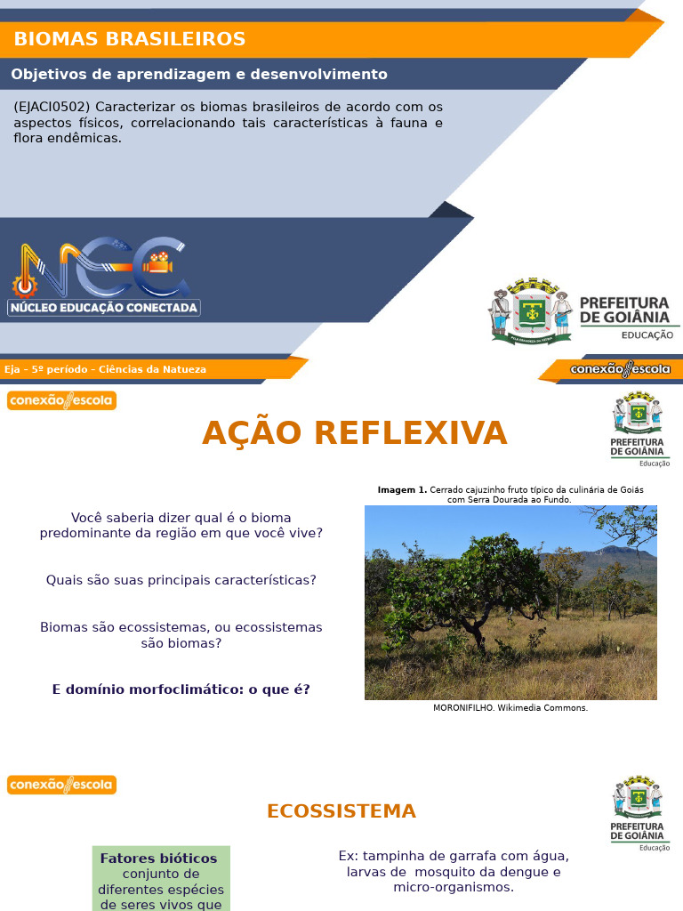 Características dos Biomas Brasileiros | PDF | Ecossistema | Floresta ...