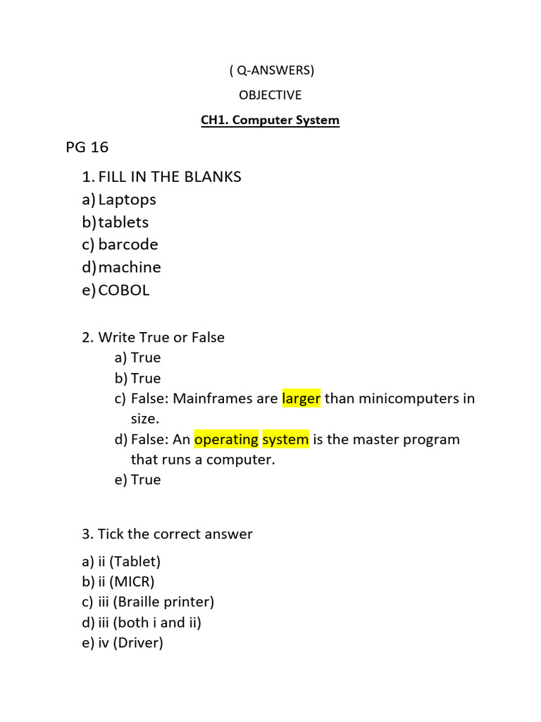 Computer Systems and Software Basics | PDF