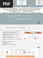 Asotrex: Glucosamina y Condroitina | PDF | Articulación