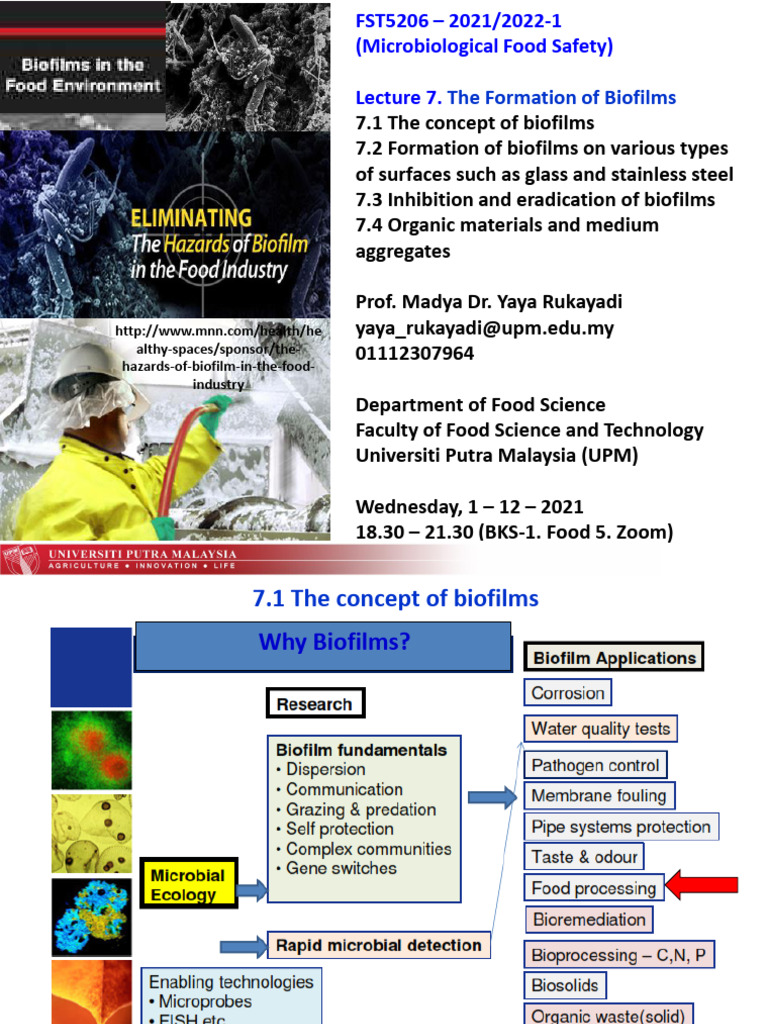 Biofilm Formation and Composition | PDF | Biofilm | Pathogen