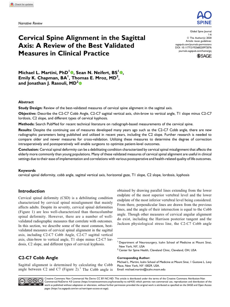 Cervical Spine Alignment in the Sagittal Axis a Re | PDF | Vertebra ...