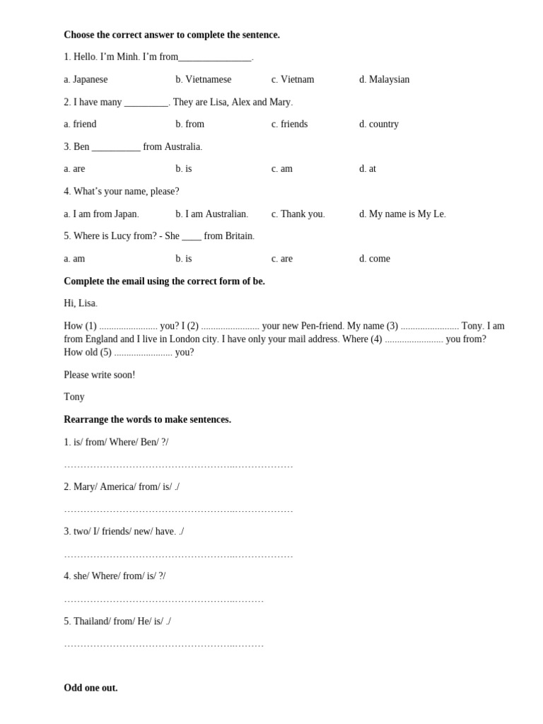 English Language Exercises for Beginners | PDF