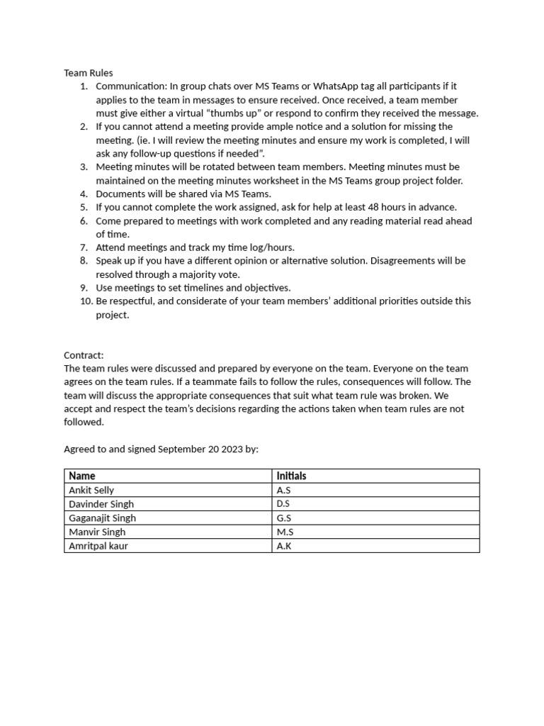 Team Communication and Meeting Guidelines | PDF