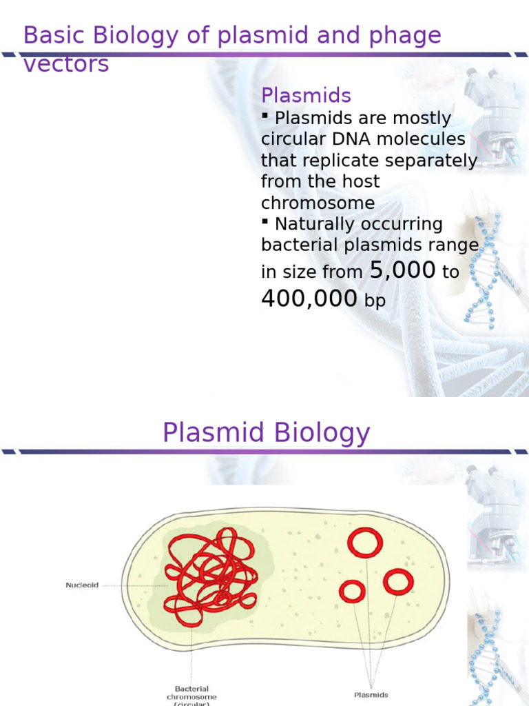 Plasmid and Phage Vector Biology | PDF