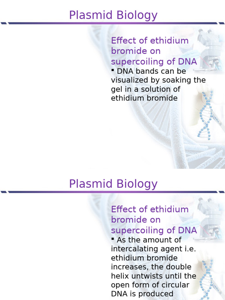 Lesson - 46 - Effect of Ethidium Bromide On Supercoiling of DNA | PDF
