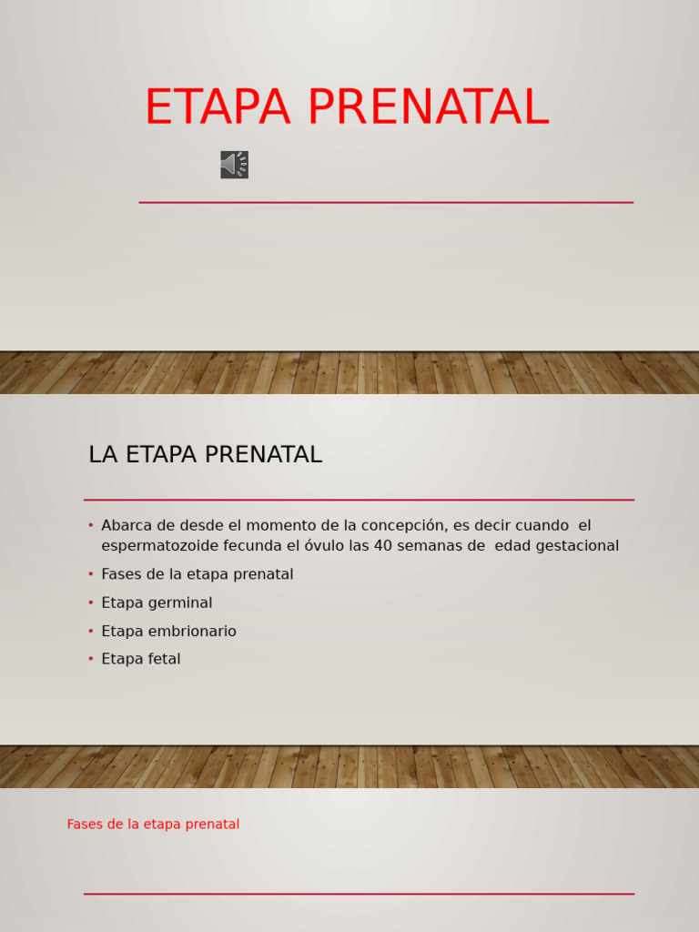 Fases de la Etapa Prenatal y Embarazo | PDF | Embarazo no deseado | Embrión