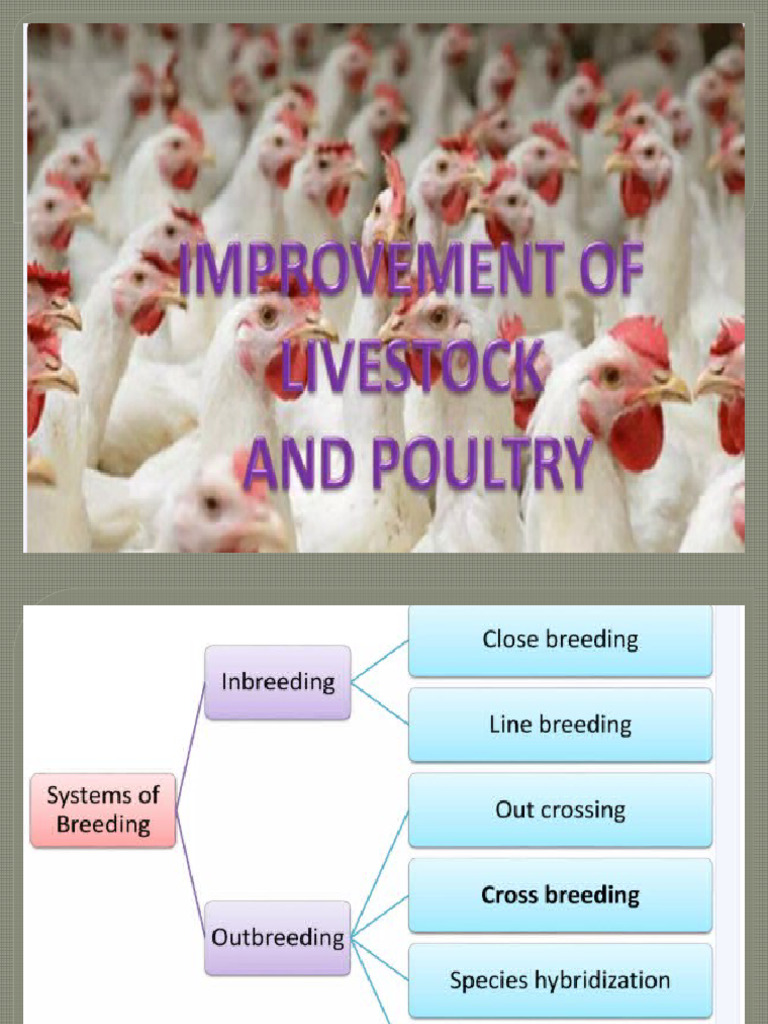 APT541ANIMALIMPROVEMENT | PDF