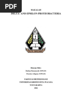 Download Delta Epsilon by adigunaxz SN89802358 doc pdf