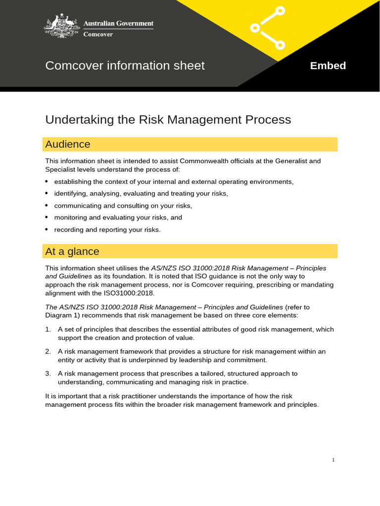 Risk Management Process Overview | PDF | Risk | Risk Management