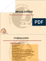 Citomegalovirus