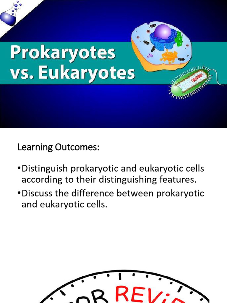 Prokaryotic and Eukaryotic Cells | PDF