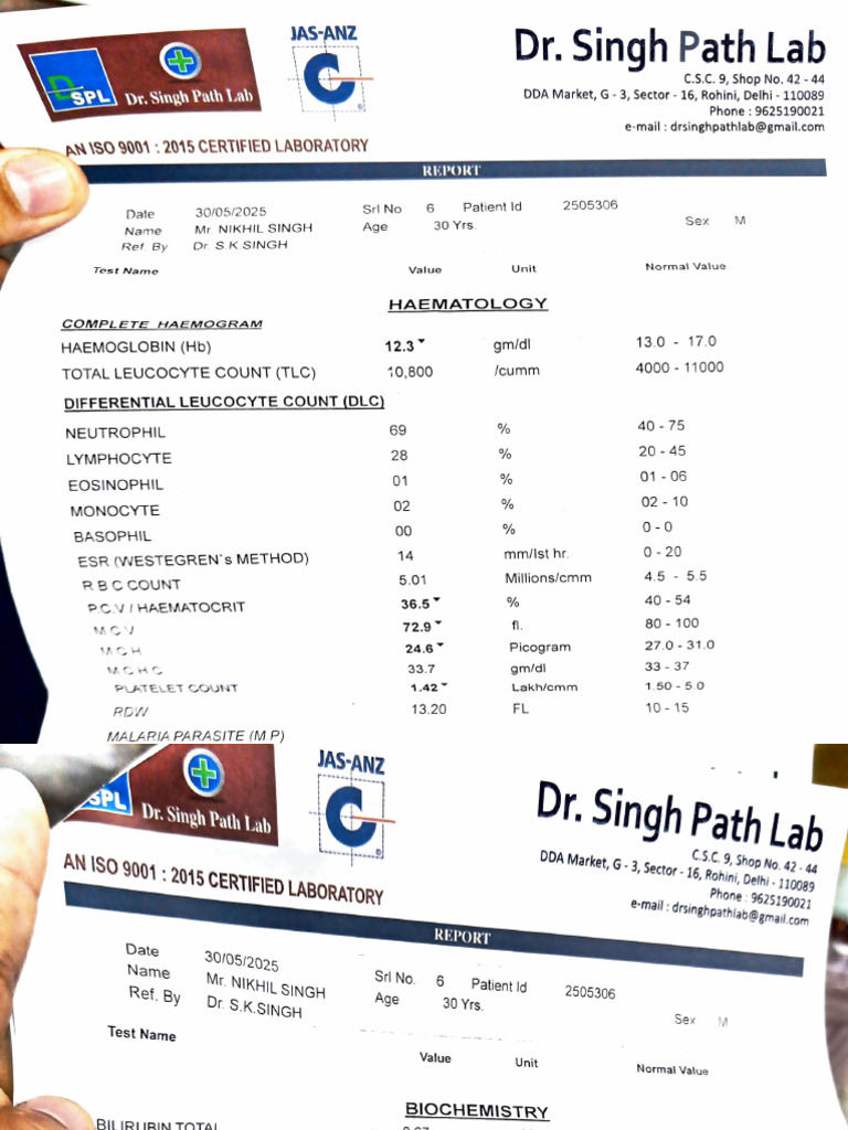 Dr. Singh Path Lab Report - Rohini | PDF | White Blood Cell | Clinical ...