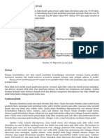 Hipertrofi Prostat Jinak