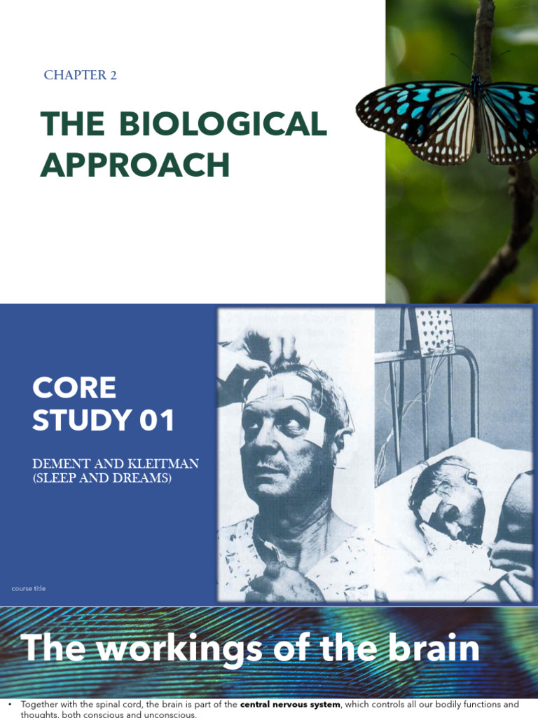 Biological Approach to Dreams Analysis | PDF | Sleep | Rapid Eye ...