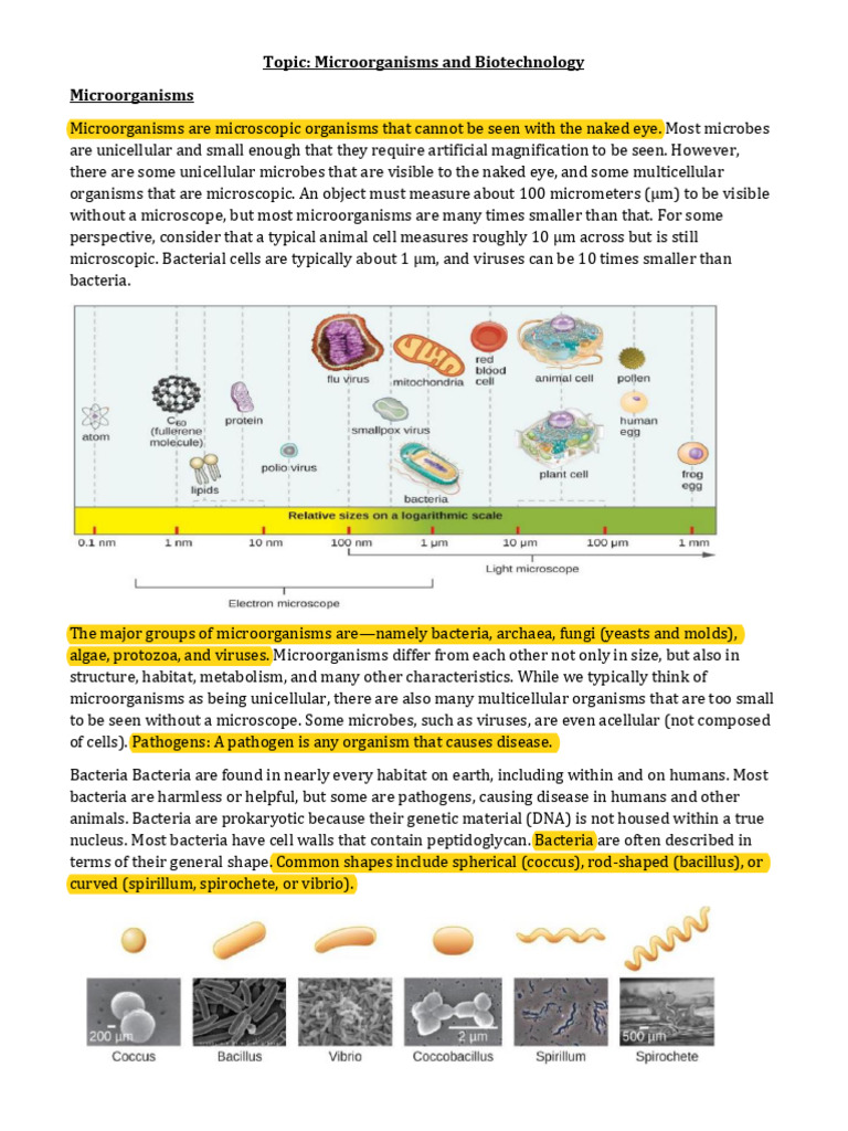Microorganisms Grade 7 Term 2 PDF | PDF | Microorganism | Infection