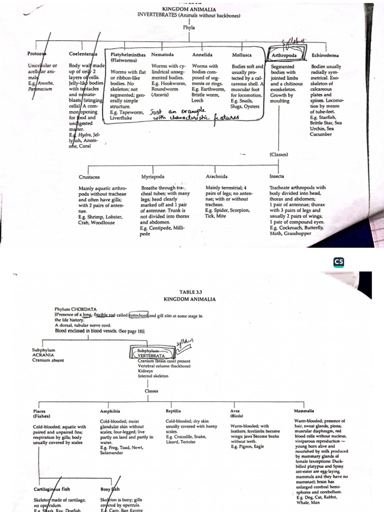 Notes Bio | PDF