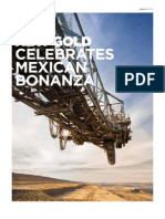 ProMexico: Negocios Magazine: New Gold Celebrates Mexican Bonanza