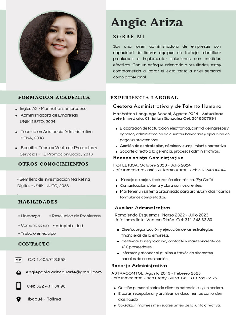 Perfil Profesional en Administración | PDF | Economias | Negocios ...